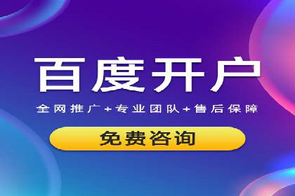 某企业通过SEO和SEM双管齐下实现业绩飞跃的案例